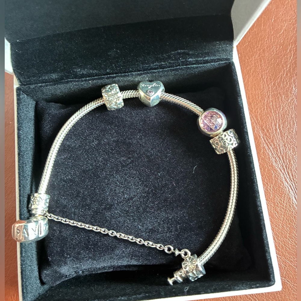 Pandora Silver Charm Bracelet - Picture 4 of 6